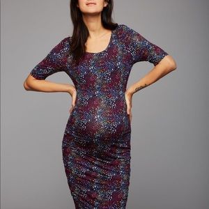 NWT A Pea in the Pod Fitted Dress